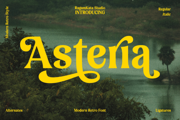 Asteria: The Retro Serif Display Font That Stops Scrolling