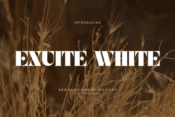 Exuite White Font: A Clean, Bold Sans Serif for Real Branding