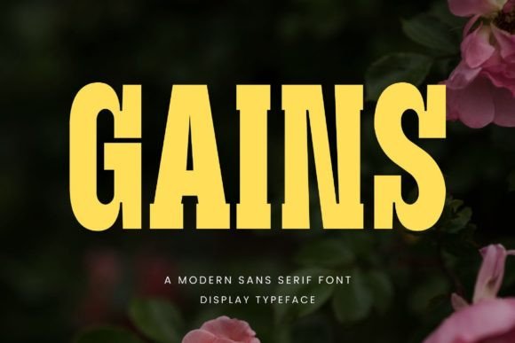 Gains Font: A Modern Sans Serif for Confident Branding